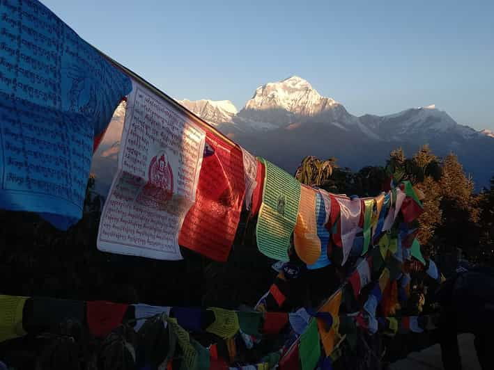Kathmandu: 7 Days Ghorepani Poonhill & Ghandruk Private Trek