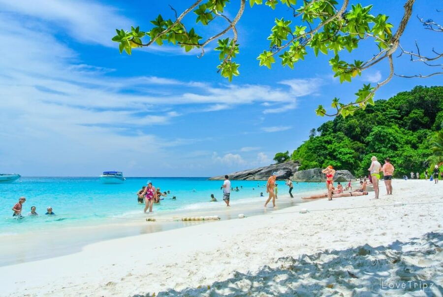 Khao Lak/Phuket: Similan Islands Wonderful Trip by Speedboat