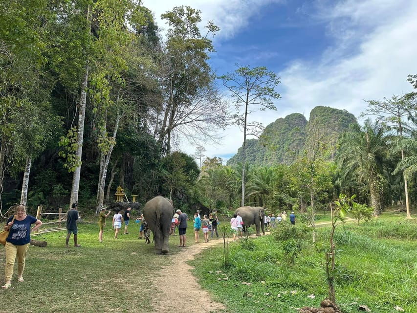 Khao Sok: Elephant Sanctuary With Eco Guided Tour