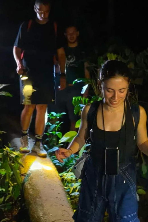 Khao Sok: Private Night Safari Adventure W/ Hotel Transfer - Activity Overview