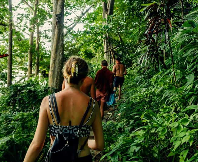 Khlong Sok: Khao Sok Waterfalls and Wildlife Half-Day Trek