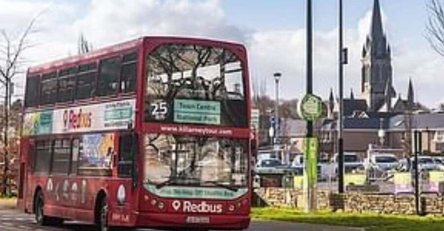 Killarney: Hop-On Hop-Off Bus to Killarney National Park