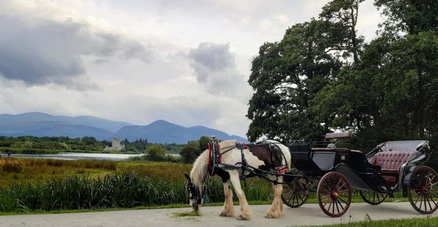 Killarney Jaunting Car Tour