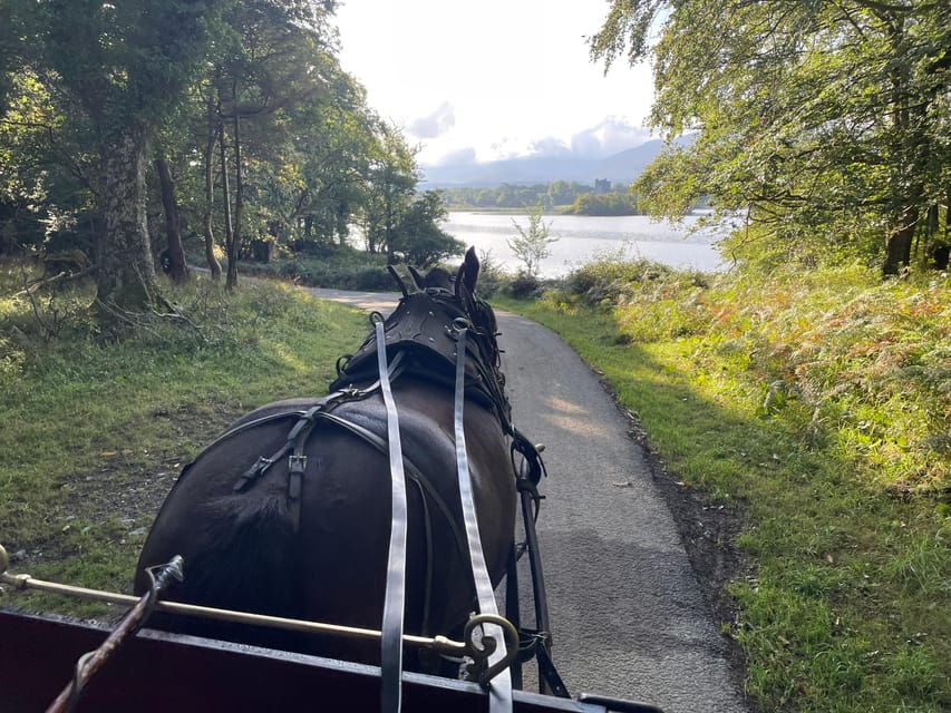 Killarney National Park Jaunting Car Tour
