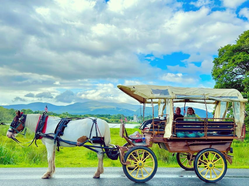 Killarney National Park Tour