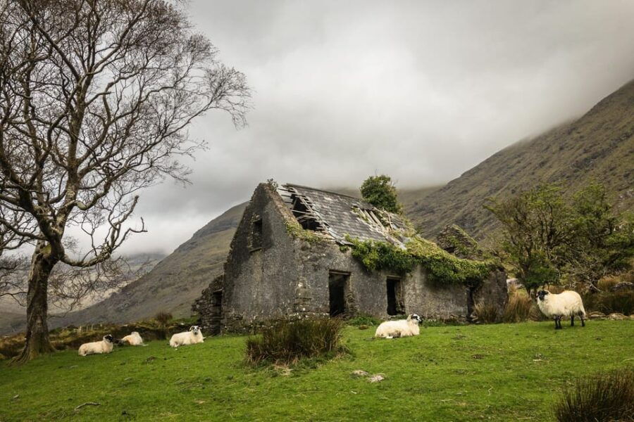 Killarney: The Ring of the Reeks – Backroads Rural Tour