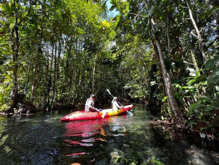 Klong Rud Kayaking With Hotel Transfer - Overview of Klong Rud Kayaking
