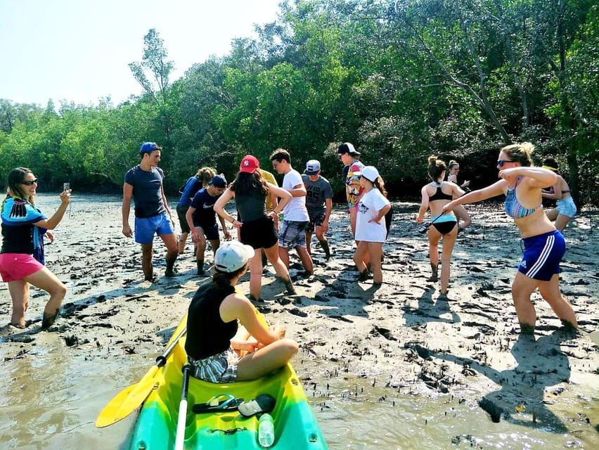 Ko Lanta: Half-Day Mangrove Eco Kayak Experience With Lunch - Activity Overview