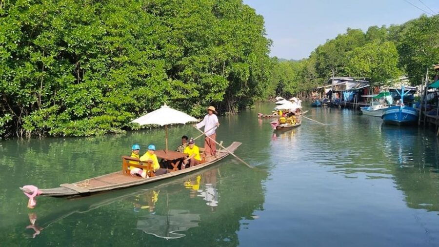 Koh Chang: Mangrove Forest Gondola Tour