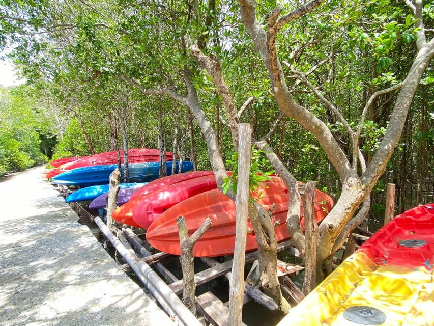 Koh Lanta:Mangrove + Elephant Camp Half Day Tour