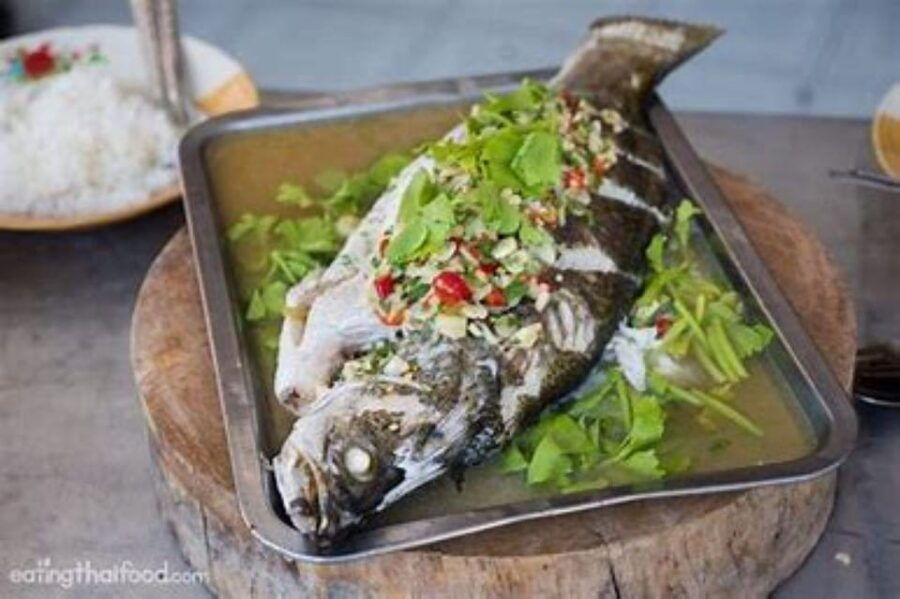3 Best Fishing Tours In Surat Thani Province
