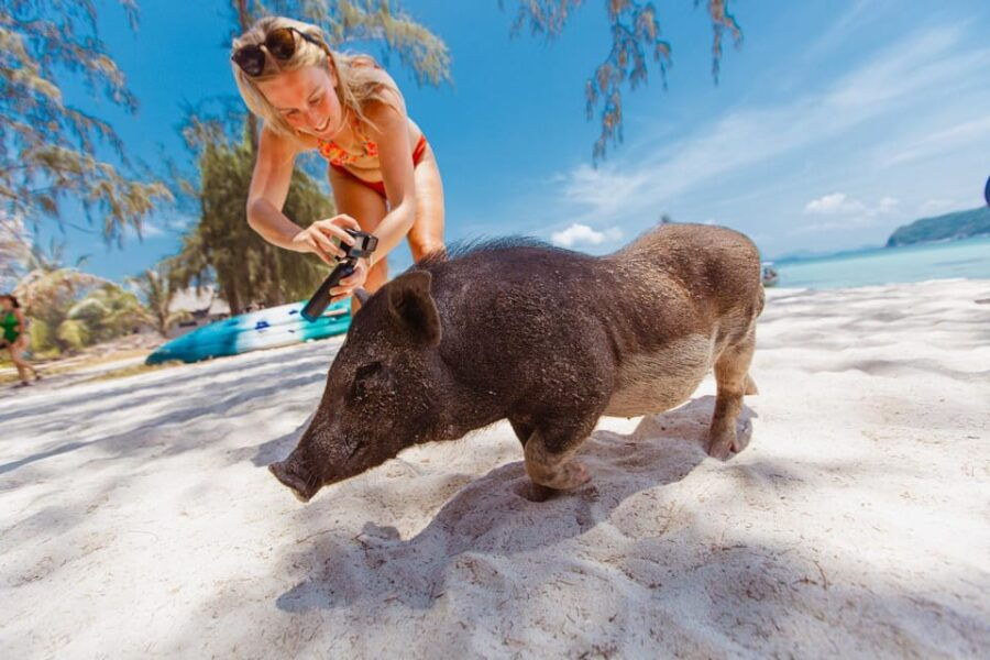 Koh Samui: Pig Island Private Longtail Boat Tour - Tour Overview