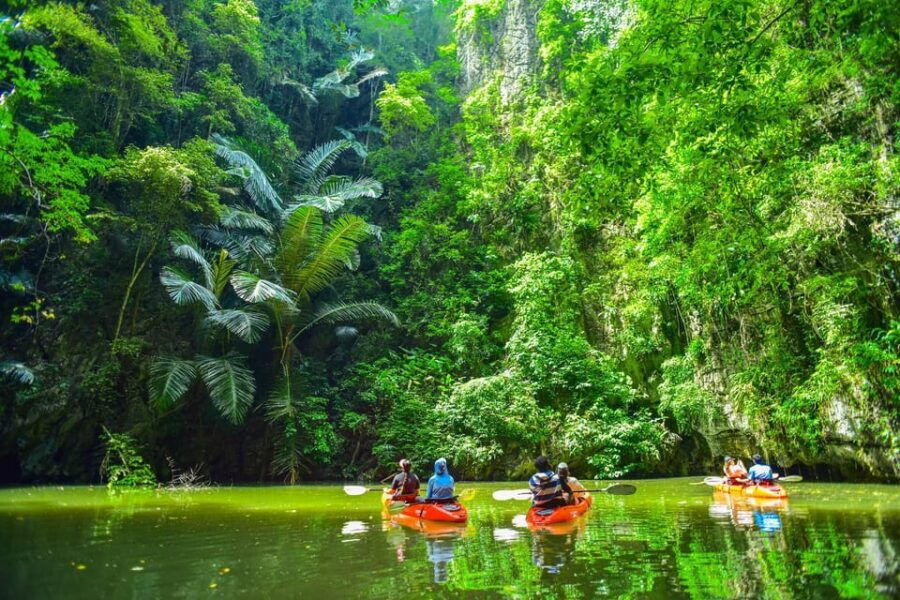 Krabi: Half-Day Bor Thor Mangrove Kayaking Tour - Tour Overview and Pricing