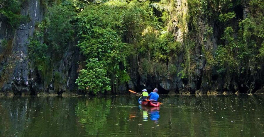 Krabi: Kayak Adventure Through Ao Thalane Mangrove Forest