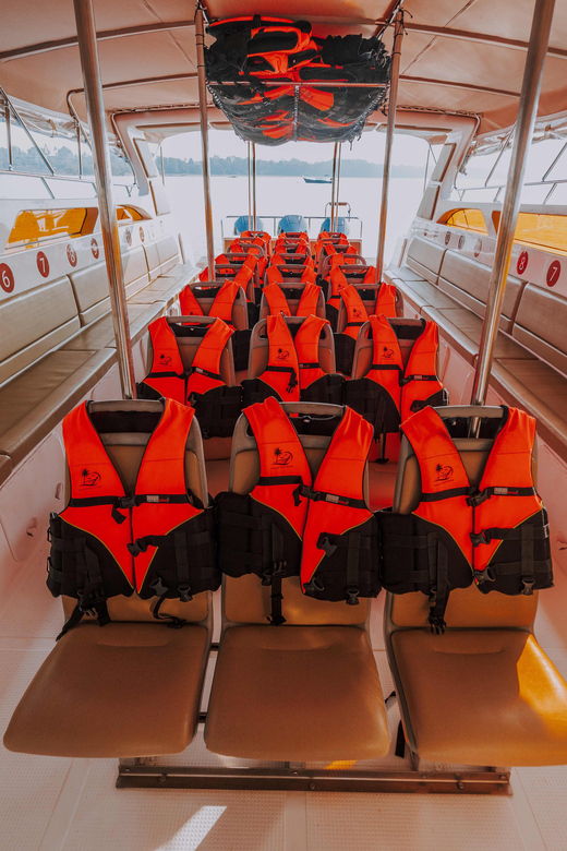Krabi: Railay To/From Phi Phi By Fast Speed Boat Transfer - Overview of Fast Speed Boat Transfer