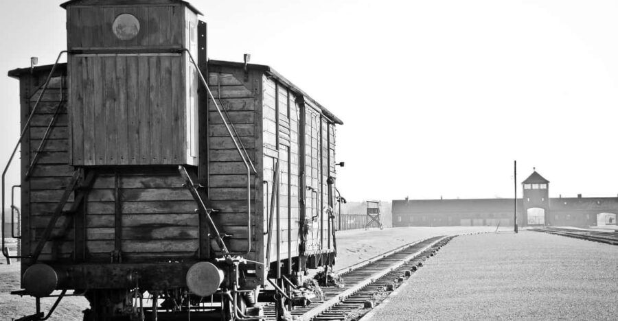 Kraków: Auschwitz-Birkenau and Wieliczka Salt Mine Day Trip - Tour Overview and Pricing
