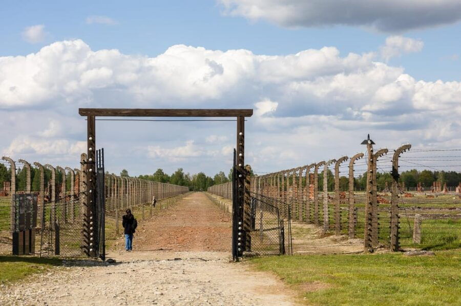 Krakow: Auschwitz-Birkenau Entry Ticket & Transportation