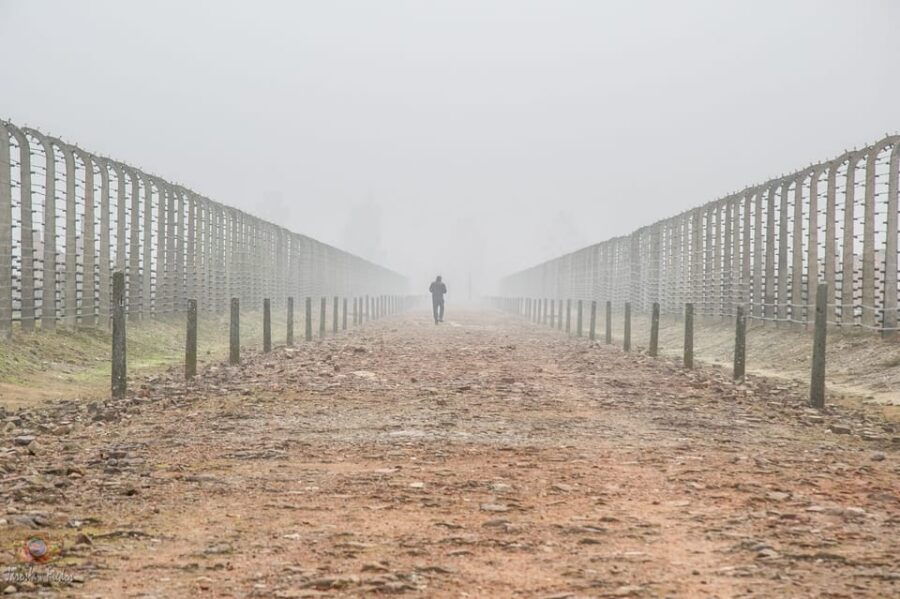 Krakow: Auschwitz-Birkenau Extended Guided Tour & Options - Tour Overview