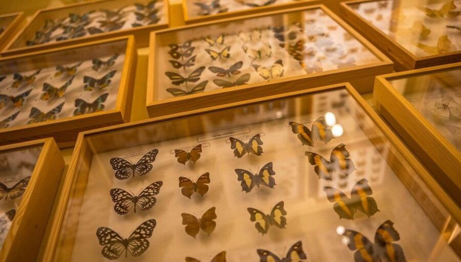 Krakow: Guided Admission To House Of Attractions in Old Town