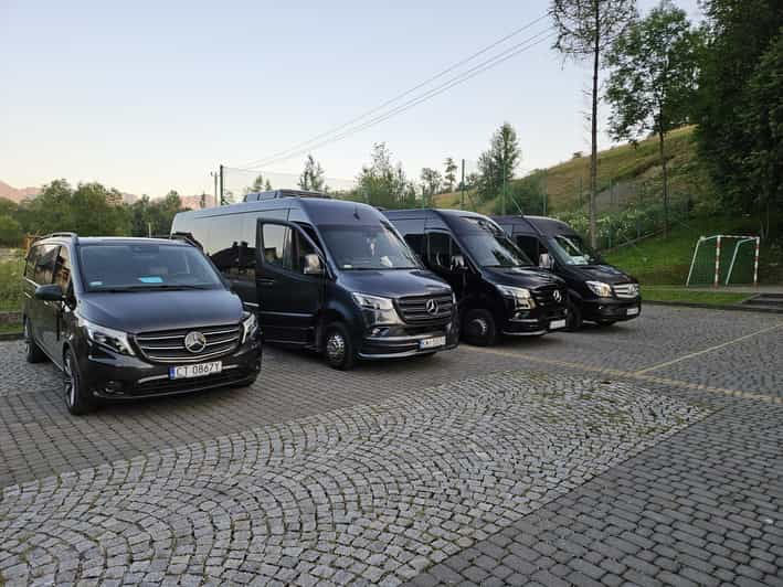 Kraków: Private Transport to the Auschwitz-Birkenau Museum - Overview of the Tour