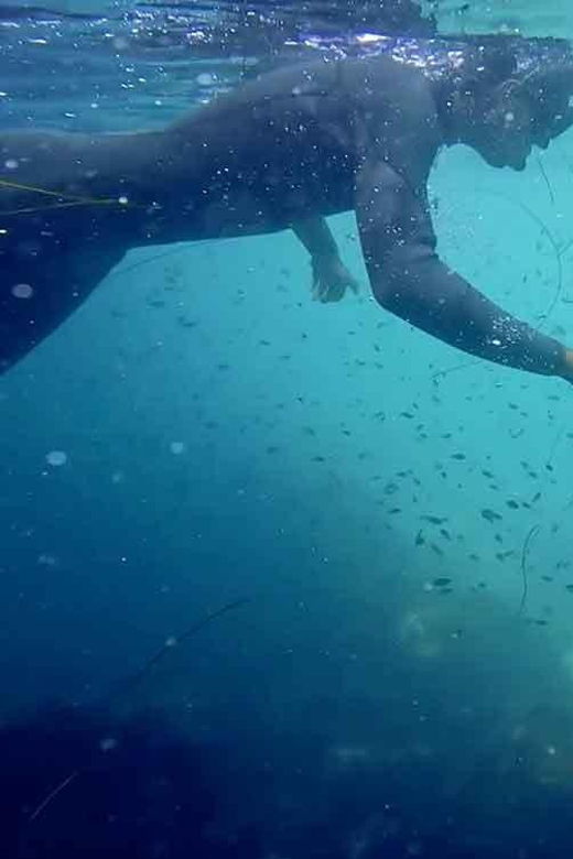 La Jolla: Leopard Shark Guided Snorkeling Tour - Booking Information