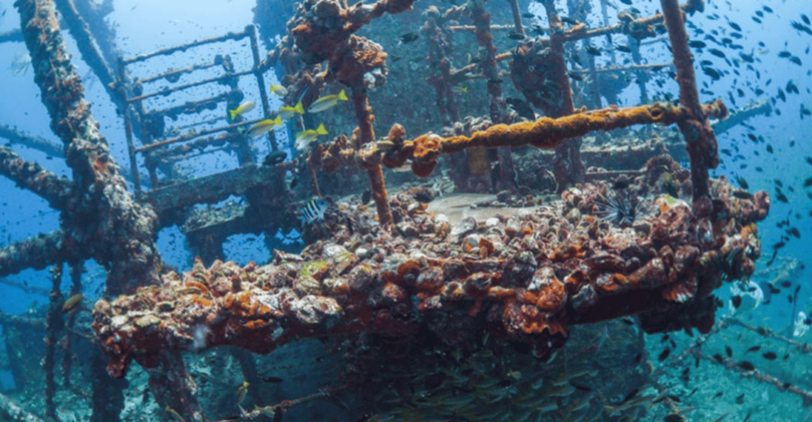 La Paz: Fang Ming Wreck Dive
