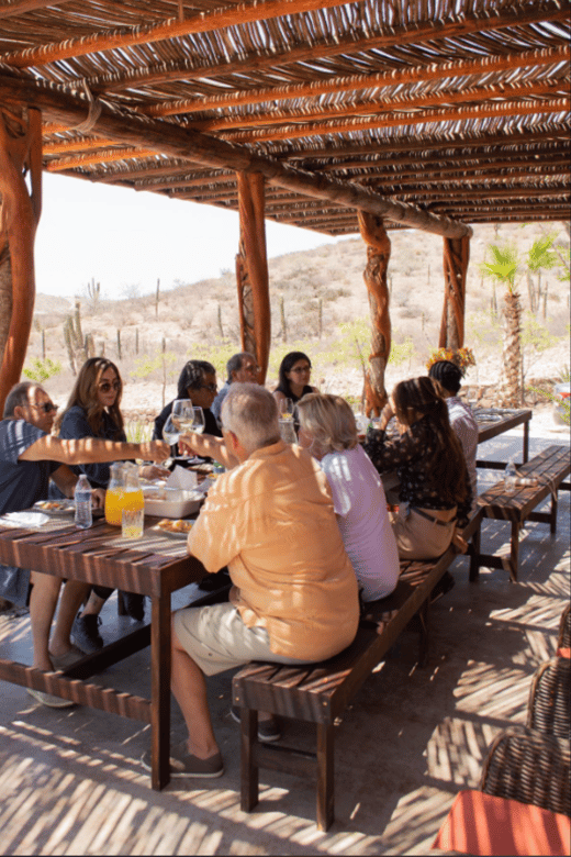 La Paz: Horseback Riding Experiences
