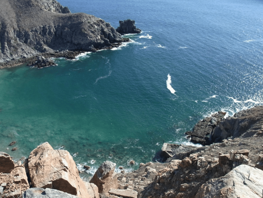 La Paz: Punta Lobos Dive Site