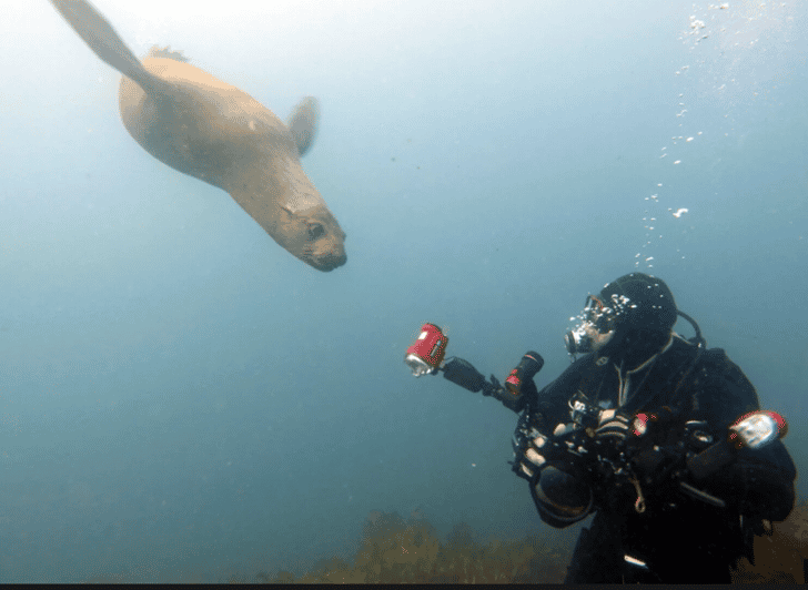 La Paz: San Rafaelito Dive Site