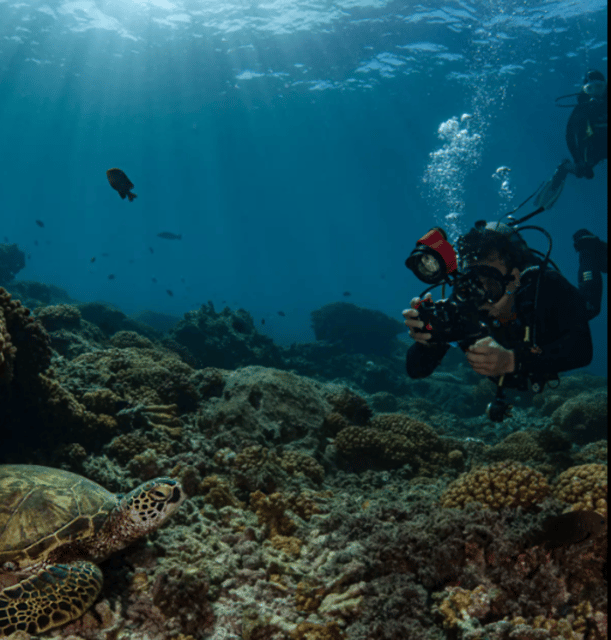La Paz: Scuba Diving - La Reyna Dive Site - Overview of La Reyna Dive Site