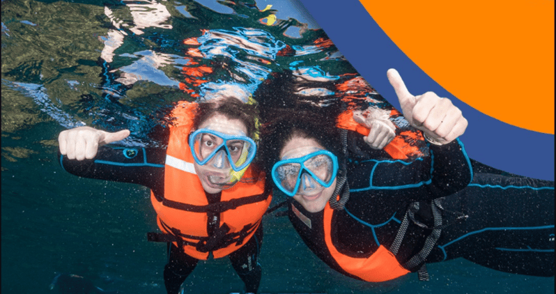 La Paz Snorkeling: Whale Shark Swim & Balandra Bay Combo - Tour Overview