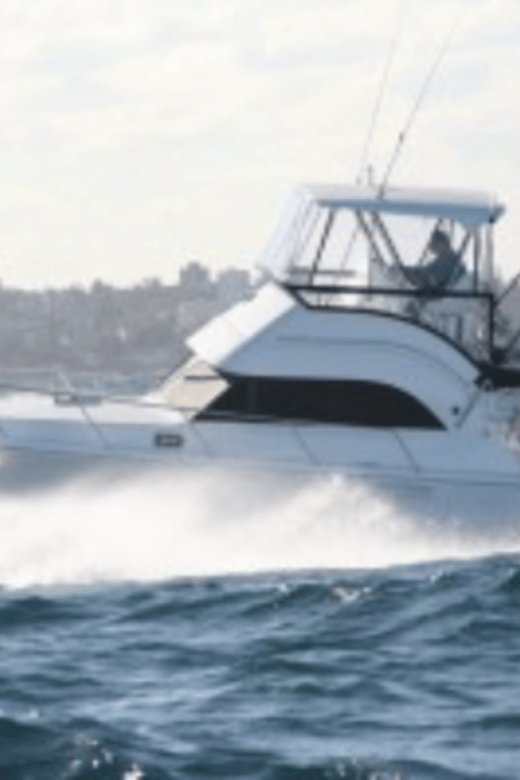 La Paz: Sport Fishing Boat Packages - Cruisers - Overview and Pricing