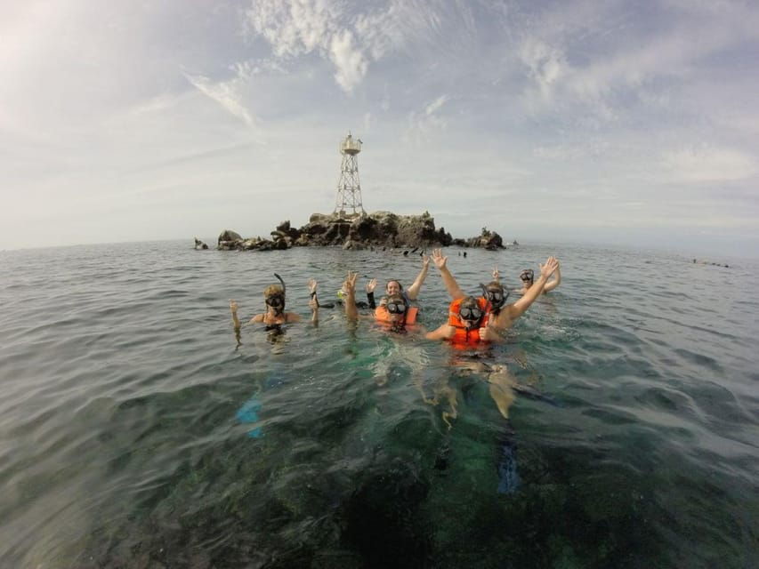La Paz: Whale Shark and Sea Lions Snorkeling Tour - Activities and Highlights