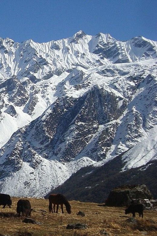 Langtang Valley Trek