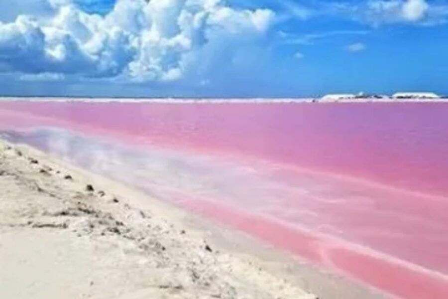 Las Coloradas + Rio Lagartos Private Tour - Tour Overview