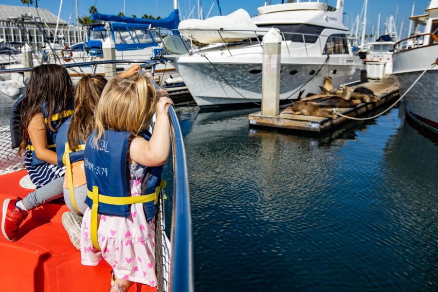 Los Angeles: Redondo Beach Glass Bottom Boat Cruise - Activity Overview