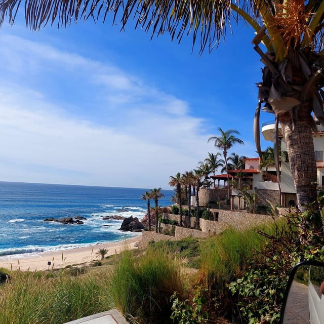 Los Cabos: Private Tour With Roundtrip Transfers