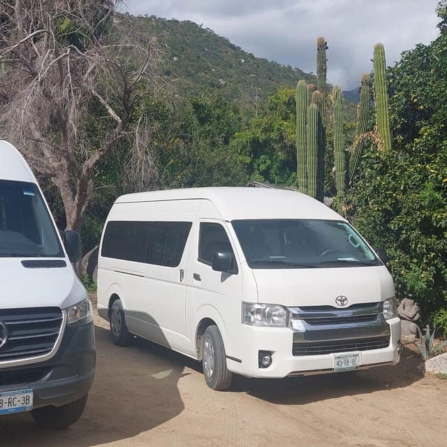 Los Cabos: Snorkeling Cruise and Sunset Beach Tour