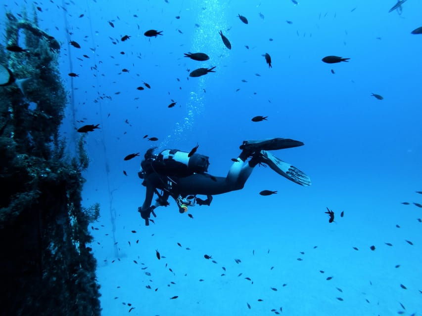 Malta: 2 Scuba Fun Dives for Certified Divers - Overview and Pricing