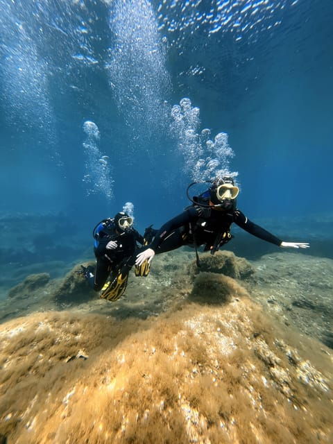 Malta: First Time Scuba Diving in a Small Group - Overview of the Scuba Diving Activity
