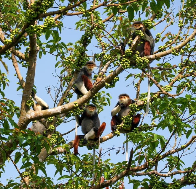 Marvelous Monkey Mountain – Son Tra Peninsula Private Tour