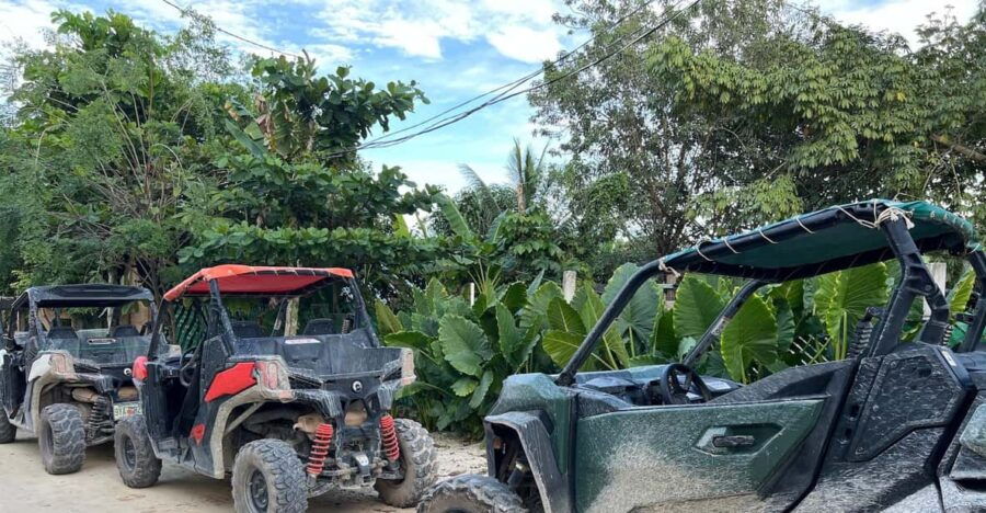 Mayan Buggy And Cenote Excursion