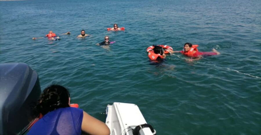 Mazatlan 3 Islands Snorkeling and Bird Watching Tour