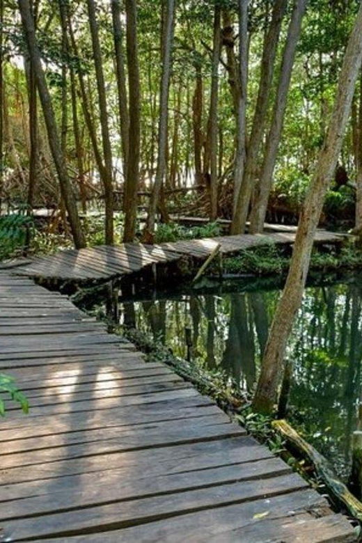 Mérida: a Day in Celestún - Activity Overview