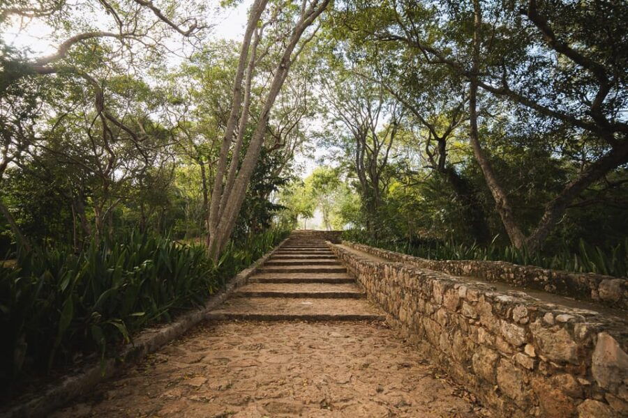 Merida: Private Uxmal, Day Trip With Cenote Swim and Lunch