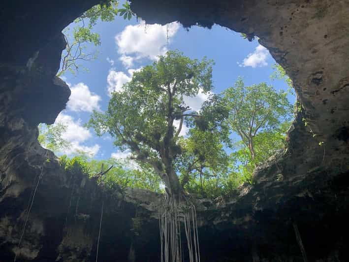 Merida: Santa Barbara Cenotes Day Trip With Lunch - Trip Overview