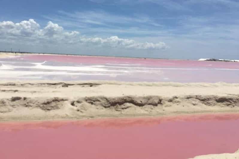 Merida: Tour Las Coloradas and Rio Lagartos