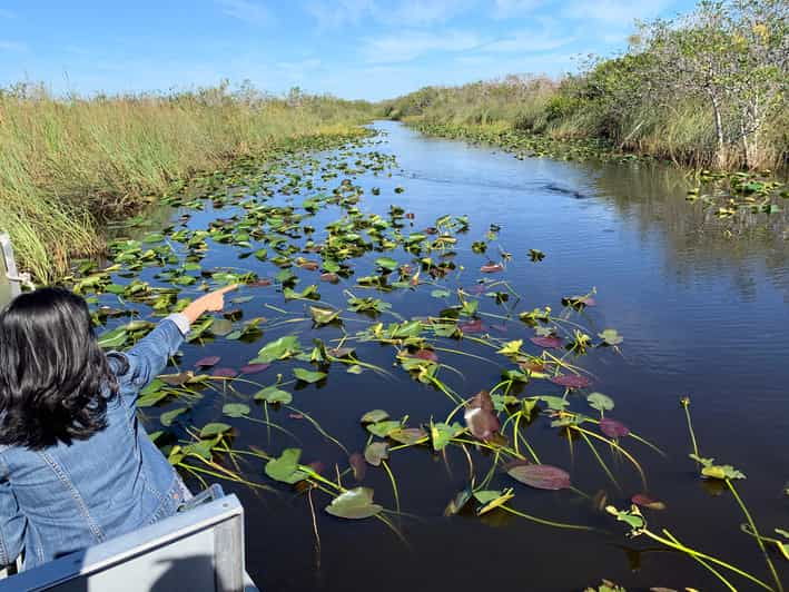 Miami: Everglades Airboat, Photo & Gator Experience