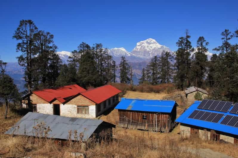 Mohare Danda Trek With Children