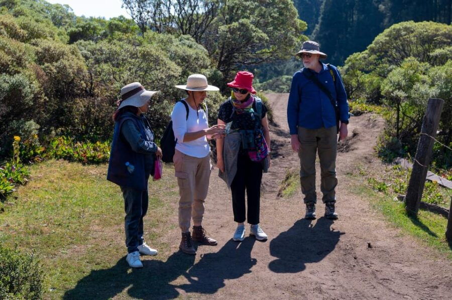Monarch Butterfly Tour in Michoacan